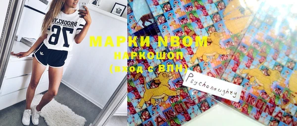 шишки Нязепетровск