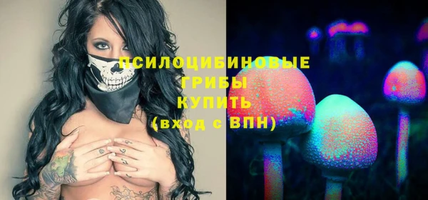 тгк Семилуки