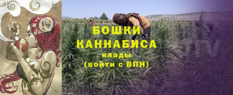 Бошки марихуана SATIVA & INDICA  Иноземцево 